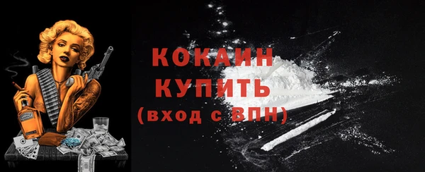 тгк Богородск