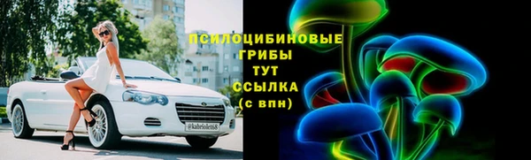 МДПВ Бородино