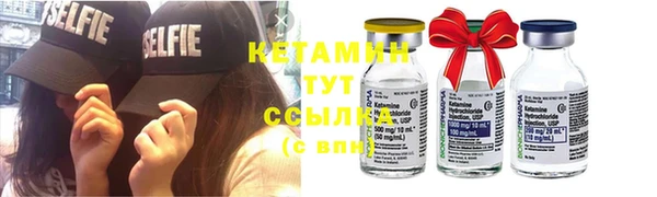 стаф Богданович