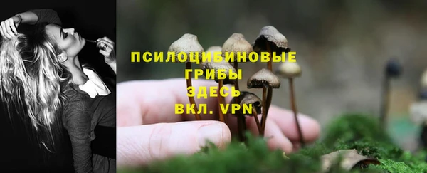 твердый Бугульма