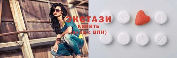 ECSTASY Богородицк