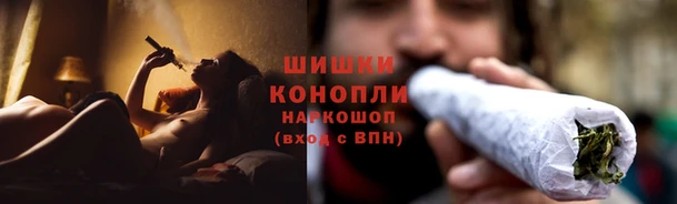 стаф Богданович