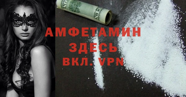 МДПВ Бородино