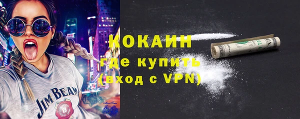 стаф Богданович